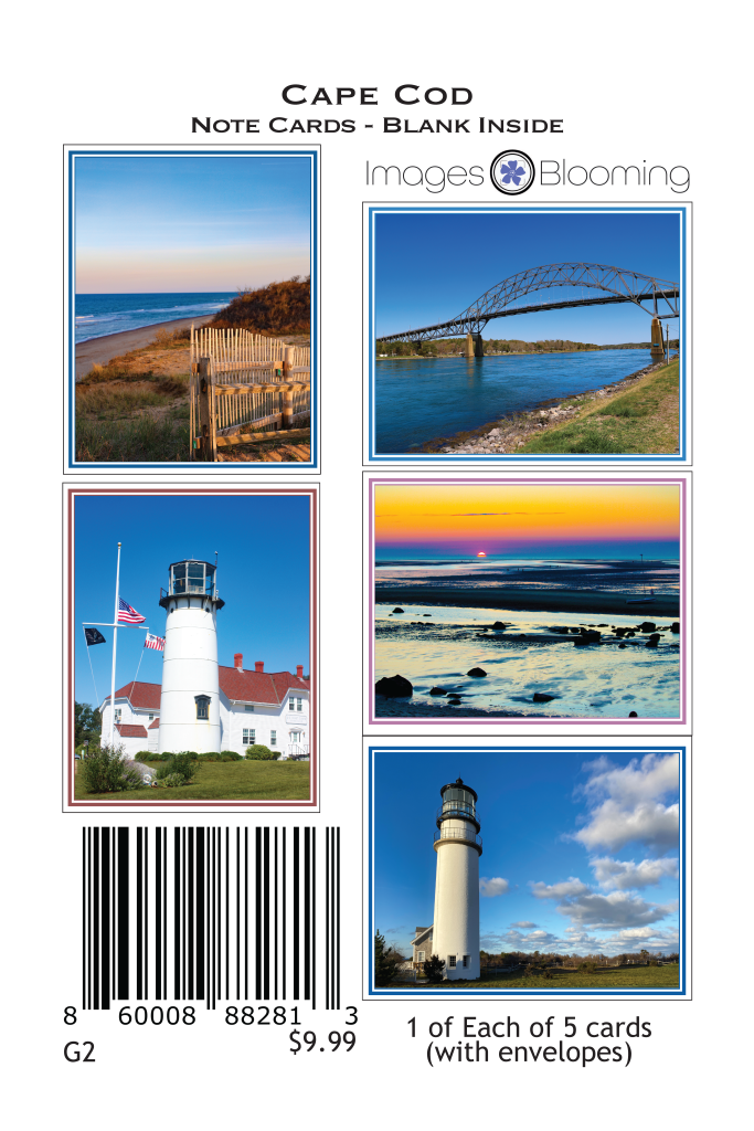 Note Cards with Images from Cape Cod